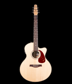 Seagull Performer CW Mini-Jumbo Flame Maple QIT Electric Acoustic Guitar