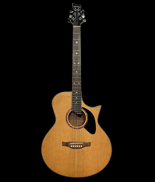 Riversong Stylist Deluxe (Stylist Dlx) Acoustic Guitar